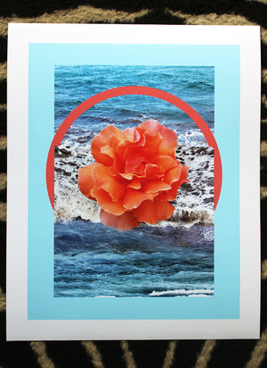 Rose Sea Print
